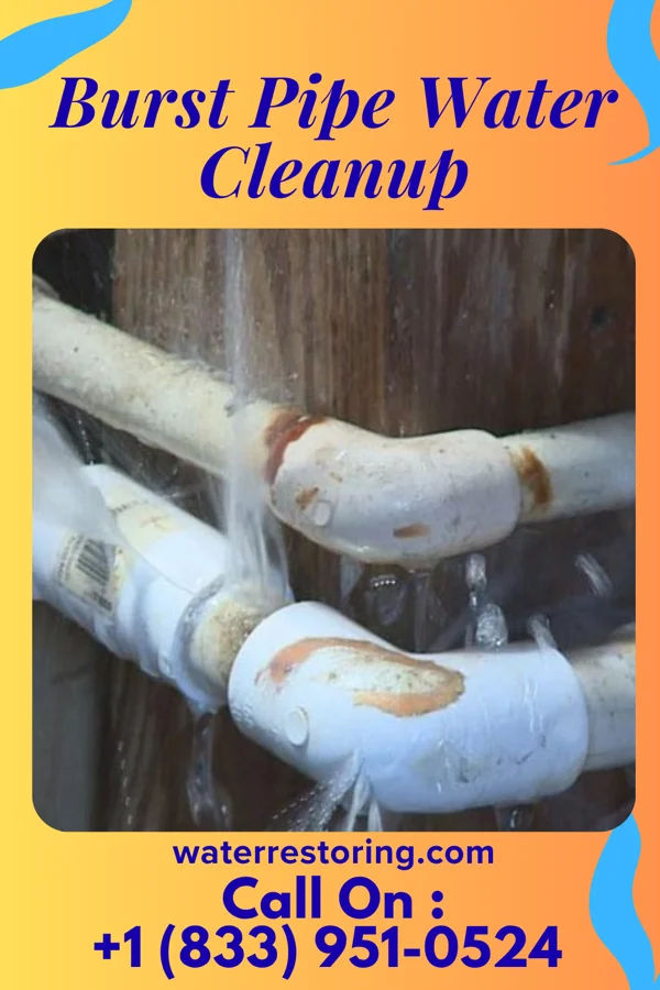Burst Pipe Water Cleanup in Watchung, NJ