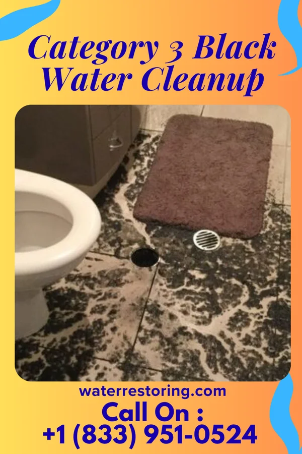 Category 3 Black Water Cleanup in Watchung, NJ