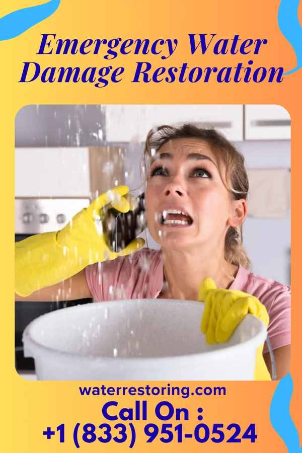 Emergency Water Damage Restoration in Watchung, NJ