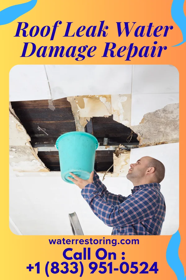 Roof Leak Water Damage Repair in Watchung, NJ